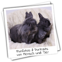 Voschaubild Portraits und Funfotos